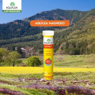 MAGNESIO AQUILEA EFERVESCENTE 300 MG 14 COMP EFERV